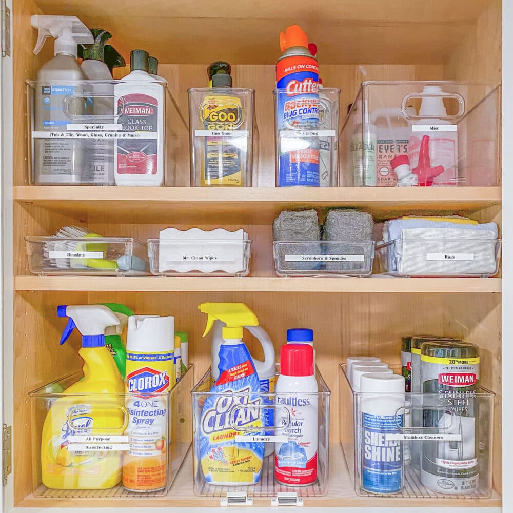 Shower Organization Reset